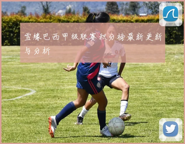 雪缘巴西甲级联赛积分榜最新更新与分析