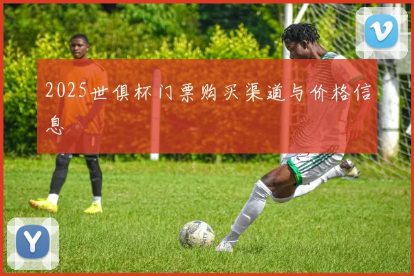 2025世俱杯门票购买渠道与价格信息